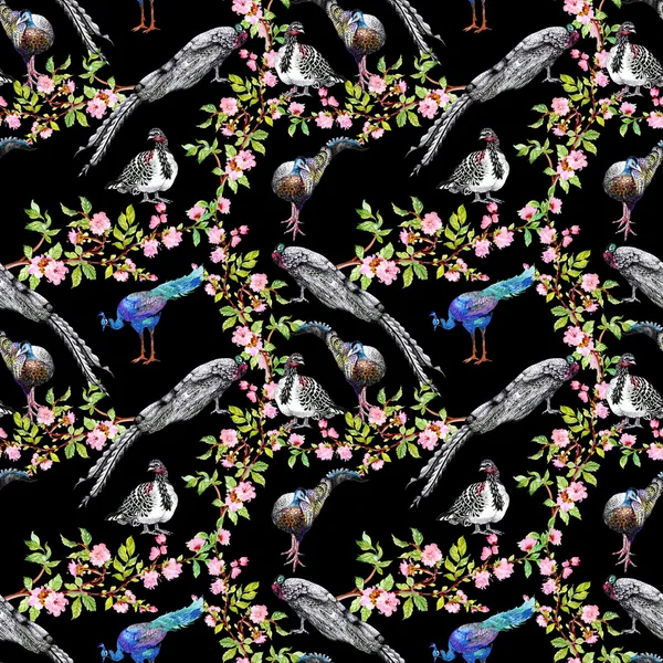Tavus kuşu çiçekli ağaç dalları üzerinde — Stok fotoğraf