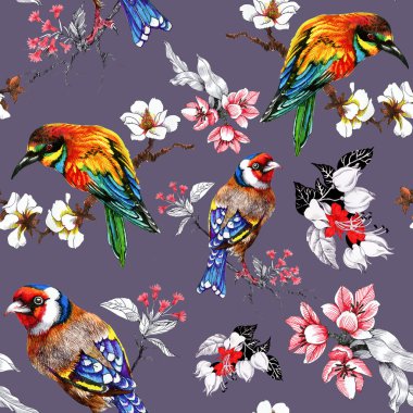 çiçek ve egzotik kuşlar ile desen 
