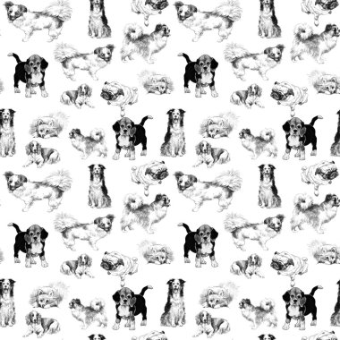 Kroki köpekleri ile Seamless Modeli