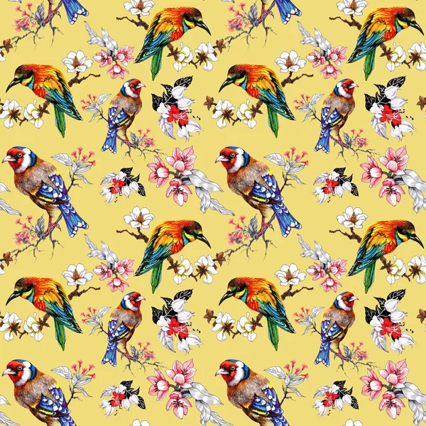 Pattern with  flowers and exotic birds — Stock Photo, Image