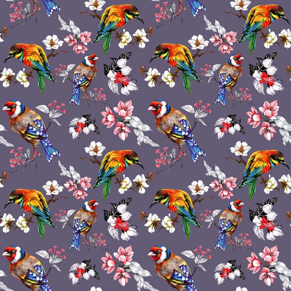 Pattern with  flowers and exotic birds — Stock Photo, Image