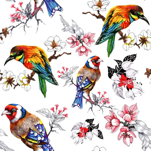Çiçek ve egzotik kuşlar ile desen — Stok fotoğraf