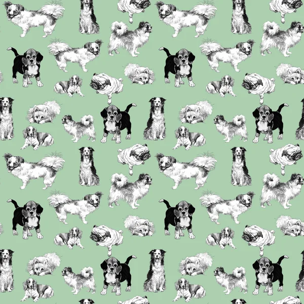 Seamless pattern with sketch dogs — Stock Photo, Image