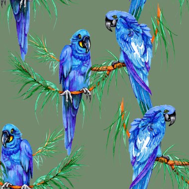 Dalları üzerinde mavi papağan