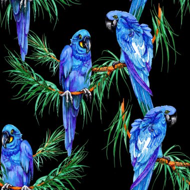 Dalları üzerinde mavi papağan