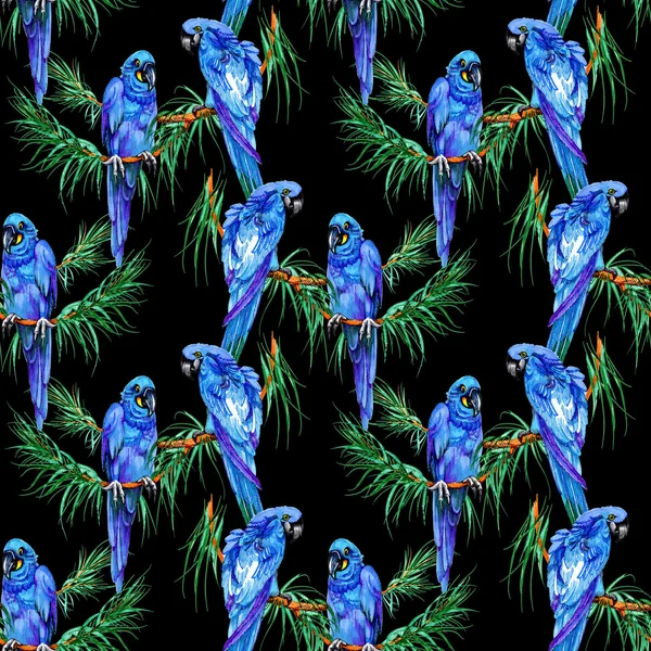 Blue parrots on branches — Stock Photo, Image