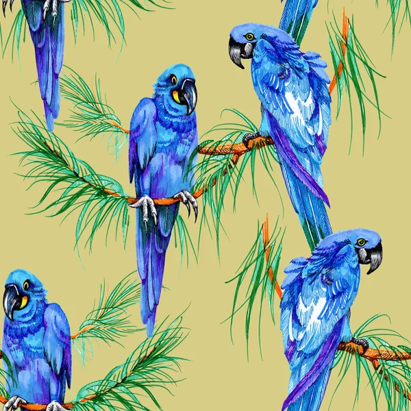 Loros azules en ramas — Foto de Stock