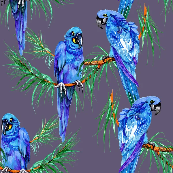Niebieski papugi na gałęzi — Zdjęcie stockowe