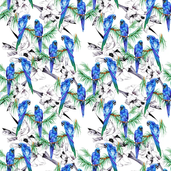 Parrots and  flowers pattern — Stock Photo, Image