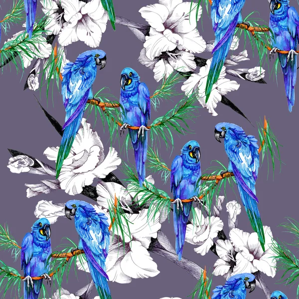 Parrots and  flowers pattern — Stock Photo, Image