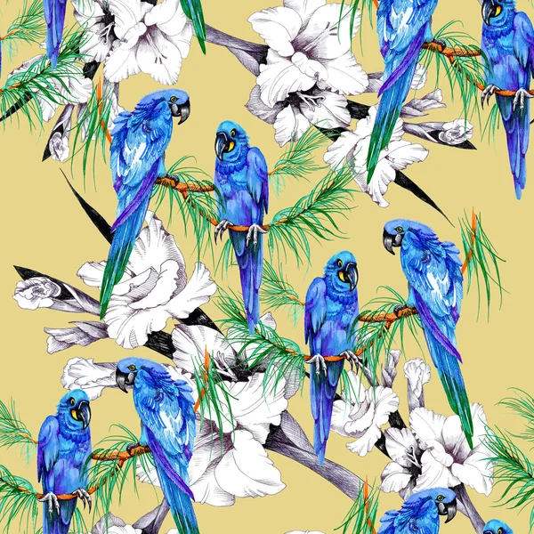 Papagaios e flores padrão — Fotografia de Stock