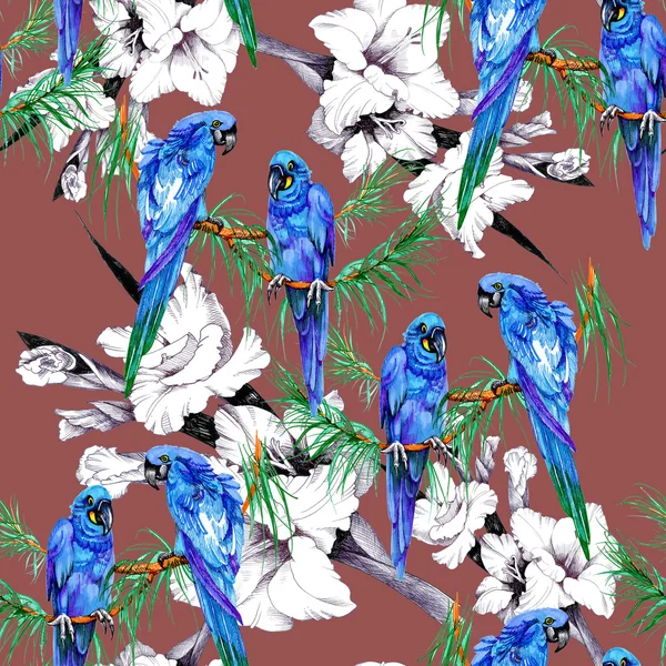 Papagali și flori model — Fotografie, imagine de stoc