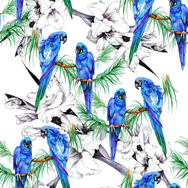 Papegojor och blommor mönster — Stockfoto