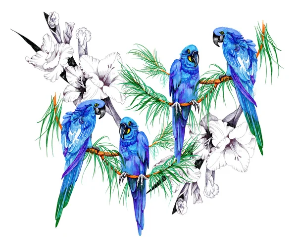 Blue parrots on branches with flowers — Stock Image Blue parrots on branches with flowers Royalty Free Stock Photos