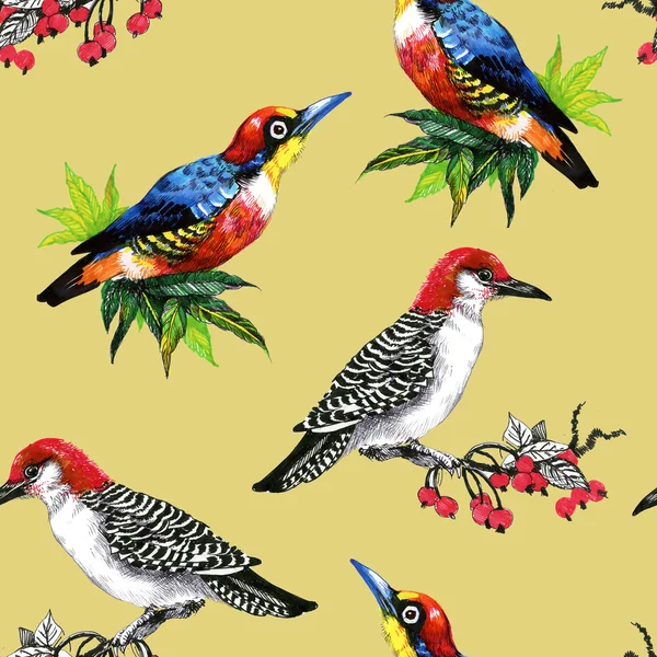 Bright birds on branches — Stock Photo, Image