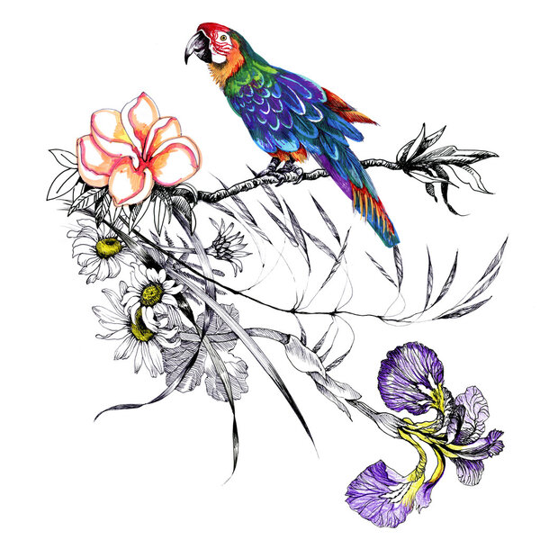 Яркие птицы на ветвях
 