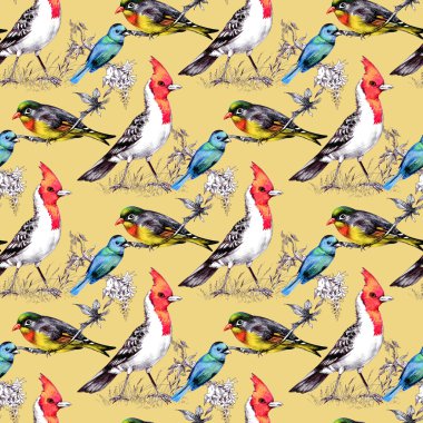 Parlak kuşlar ile Seamless Modeli