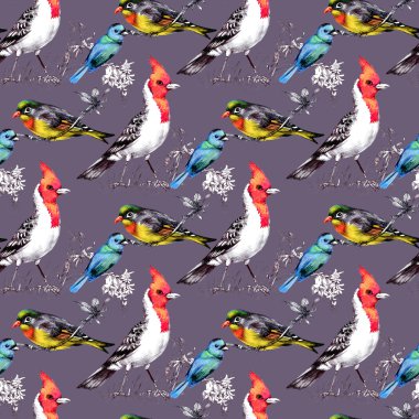 Parlak kuşlar ile Seamless Modeli