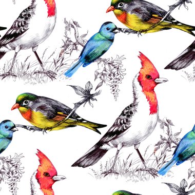 Parlak kuşlar ile Seamless Modeli
