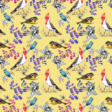 Güzel çiçekler ve kuşlar ile desen