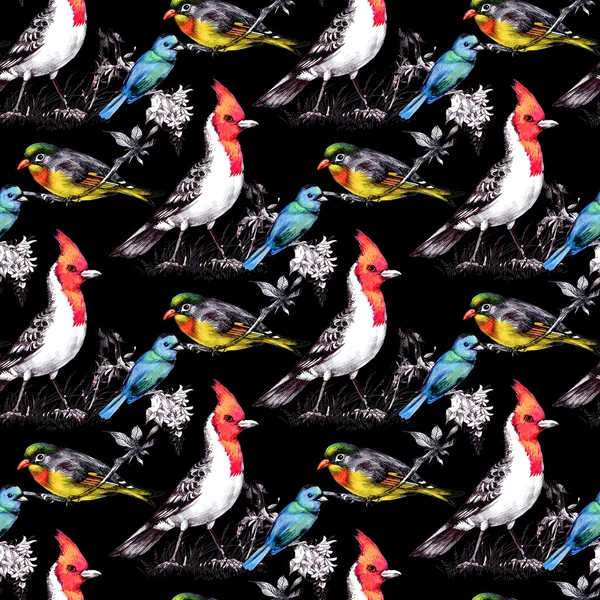 Seamless Pattern with Bright Birds — Stock Photo, Image