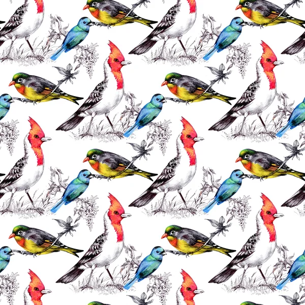 明るい鳥のシームレス パターン — ストック写真