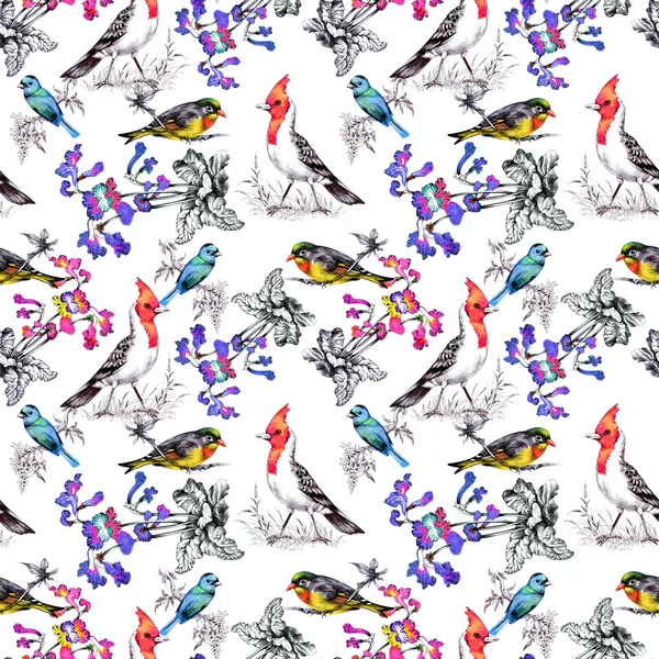 Güzel çiçekler ve kuşlar ile desen