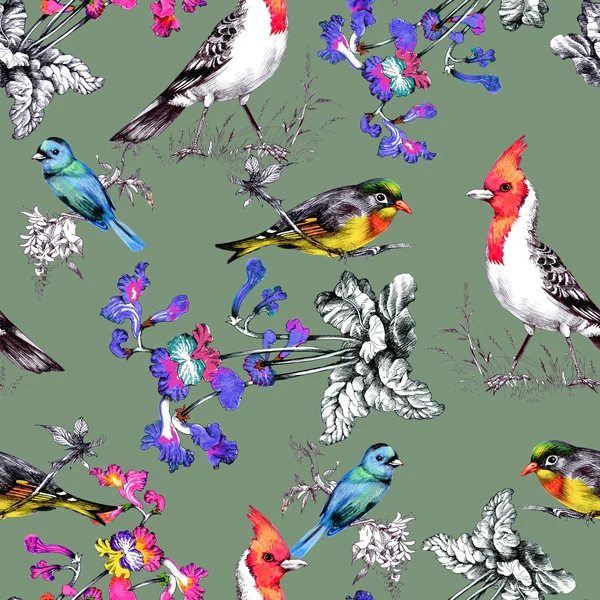 Pattern with beautiful flowers and birds — Stock Photo, Image