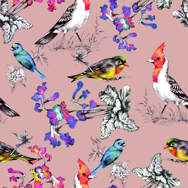 Muster mit schönen Blumen und Vögeln — Stockfoto