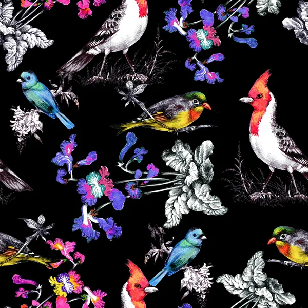 美しい花と鳥のパターン — ストック写真