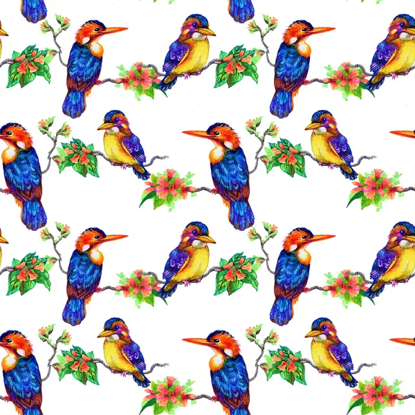 Beautiful birds and flowers pattern — Stock Photo, Image