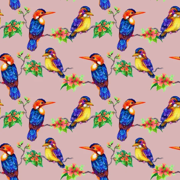 Beautiful birds and flowers pattern — Stock Photo, Image