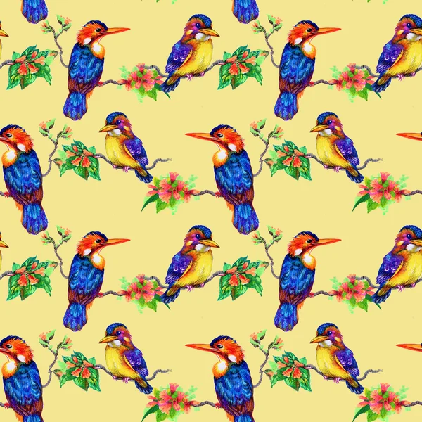 Beautiful birds and flowers pattern — Stock Photo, Image