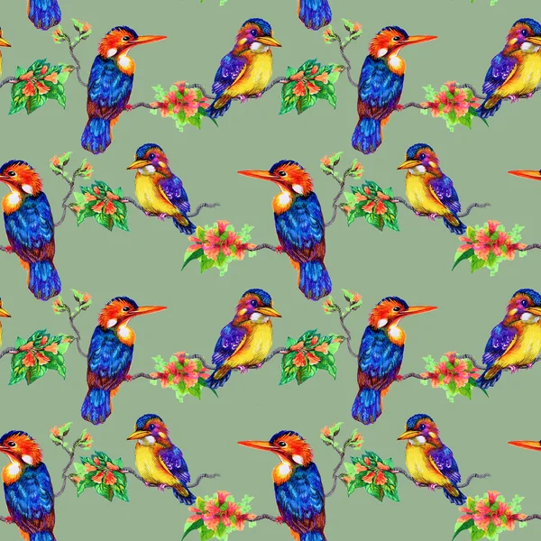 Beautiful birds and flowers pattern — Stock Photo, Image