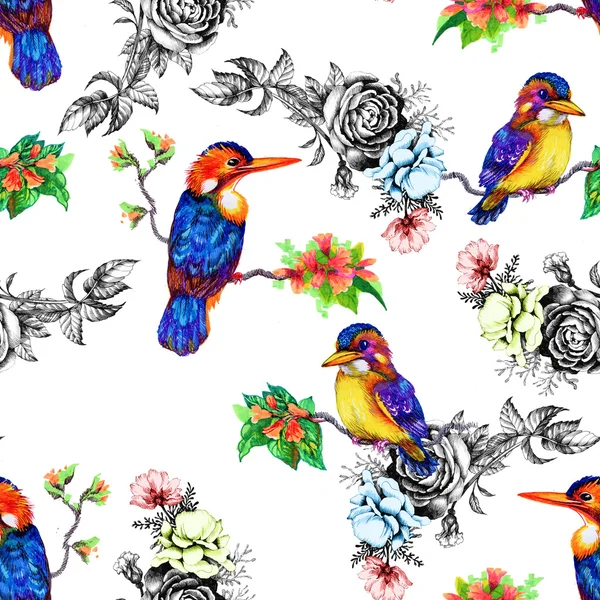 Schöne Vögel und Blumenmuster — Stockfoto