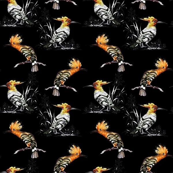 Bright birds seamless pattern — Stock Photo, Image