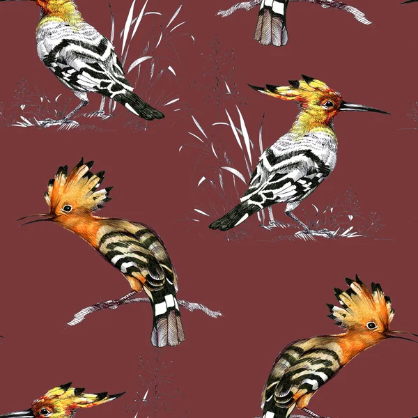 Aves brillantes patrón sin costura — Foto de Stock