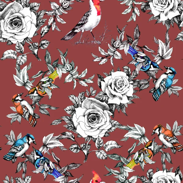 Seamless pattern with birds and rose flowers — Stock Photo, Image