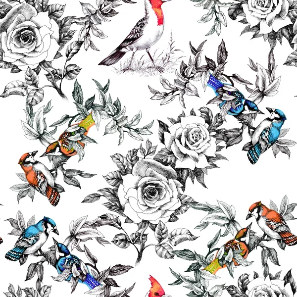 Nahtloses Muster mit Vögeln und Rosenblüten — Stockfoto