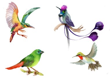 Dalları üzerinde yabani egzotik kuşlar