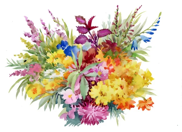 Zomer aquarel bloemen — Stockfoto