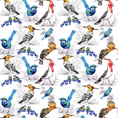 Egzotik kuşlar ile Seamless Modeli 