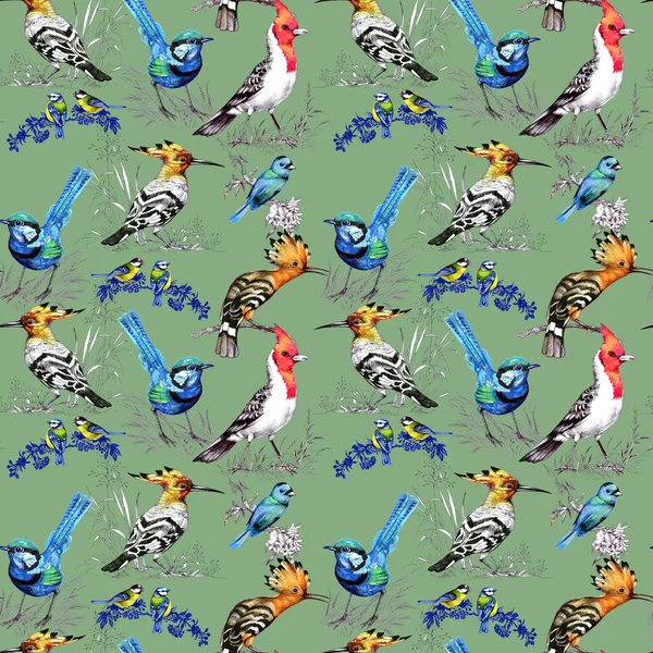 Seamless pattern with exotic birds — Stock Photo, Image