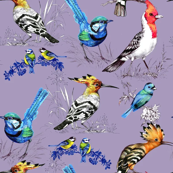 Seamless mönster med exotiska fåglar — Stockfoto