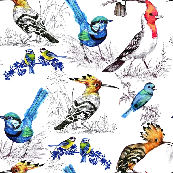 Nahtloses Muster mit exotischen Vögeln — Stockfoto