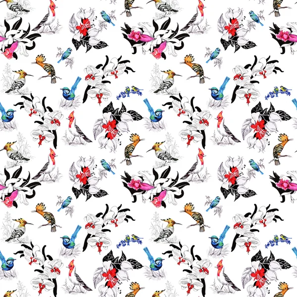 Pattern with summer flowers and exotic birds — Stock Photo, Image