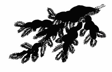 İğne yapraklı çam dalında kar tebrik kartı.