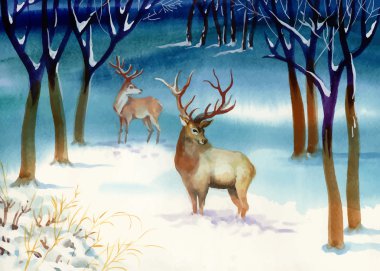 Geyikler, suluboya kış yatay.