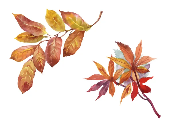 Watercolor autumn leaves — Stock Vector