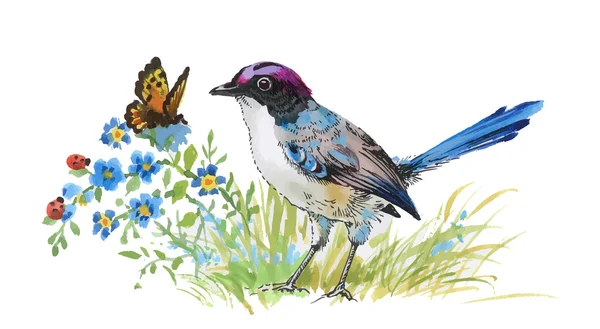 Akvarell színes madár és a pillangó, a fű és a virágok. — Stock Vector